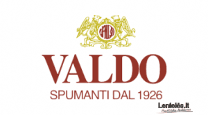 VALDO Logo 300x166